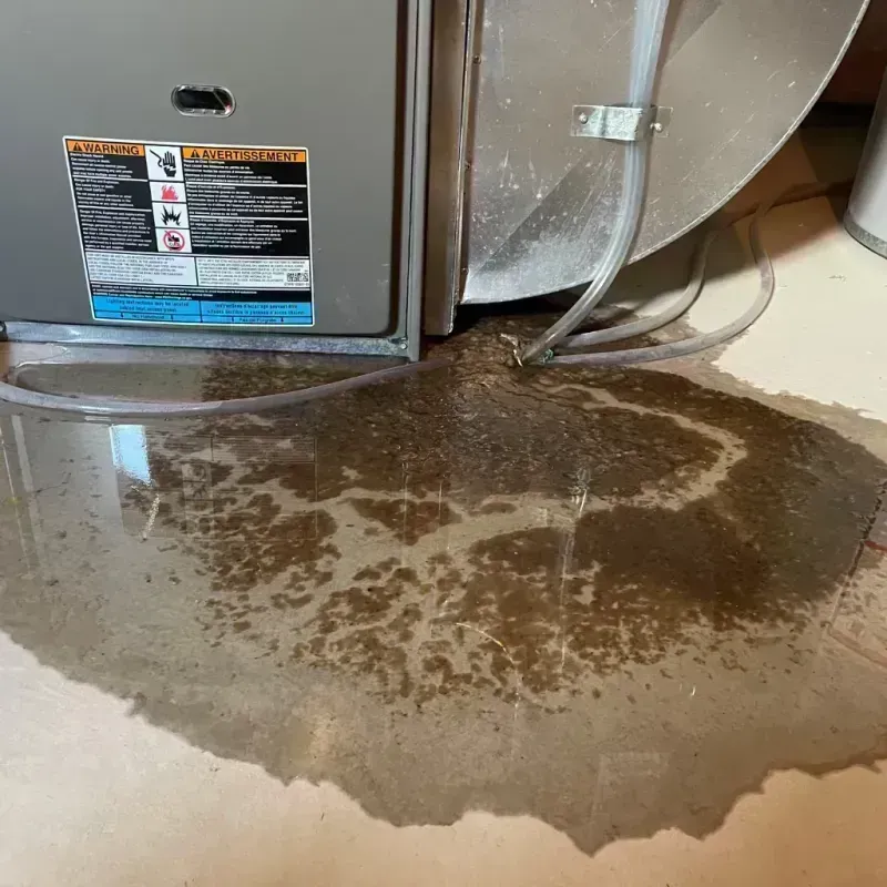 Appliance Leak Cleanup in Fort Campbell North, KY